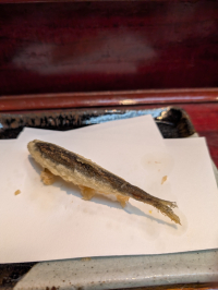 天一若鮎1 天一若鮎1